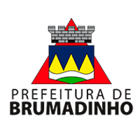 logo brumadinho